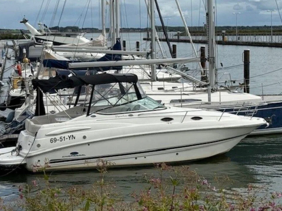 Chaparral 240 Signature gebraucht - Foto 1