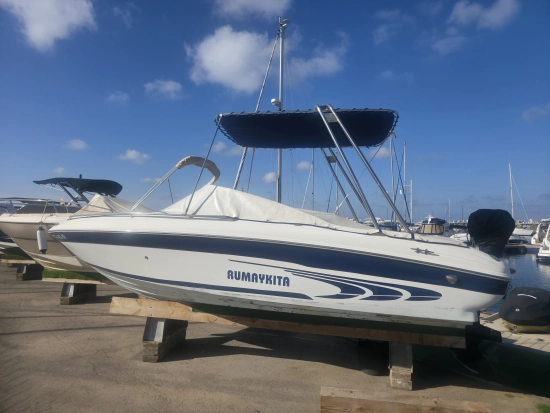 Sea Ray 190 BR used - photo 1
