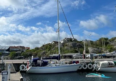 Forgus 31 used - photo 1