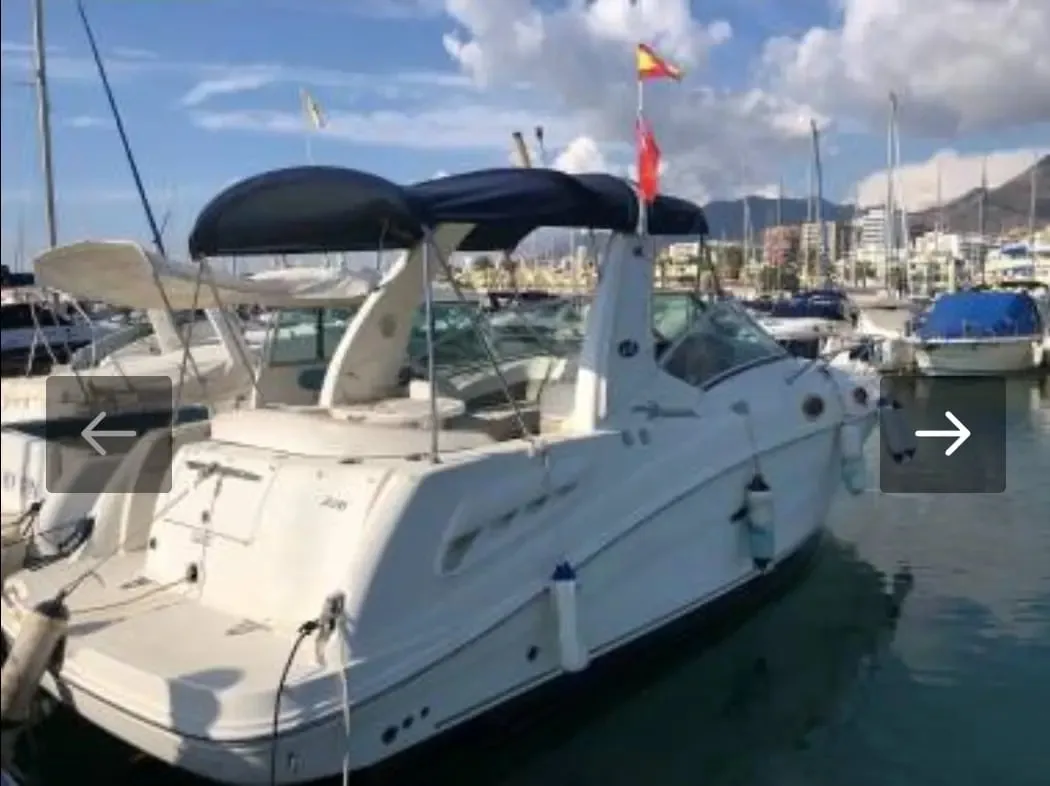 Sea Ray 260 Sundancer DA gebraucht - Foto 1
