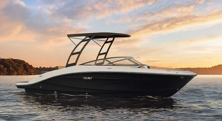 Sea Ray 210 SPX used - photo 1
