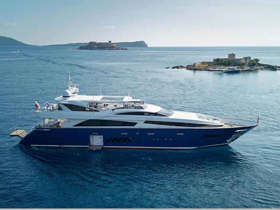 Dominator 40M d'occasion - photo 1