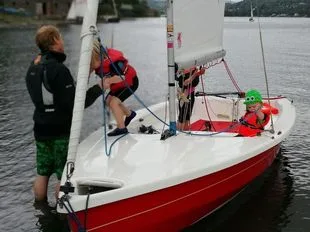 Wayfarer 10610 MKIV Hartley Racer Cruiser usato - foto 1