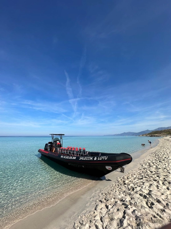 Narwhal Fast 1200 gebraucht - Foto 1
