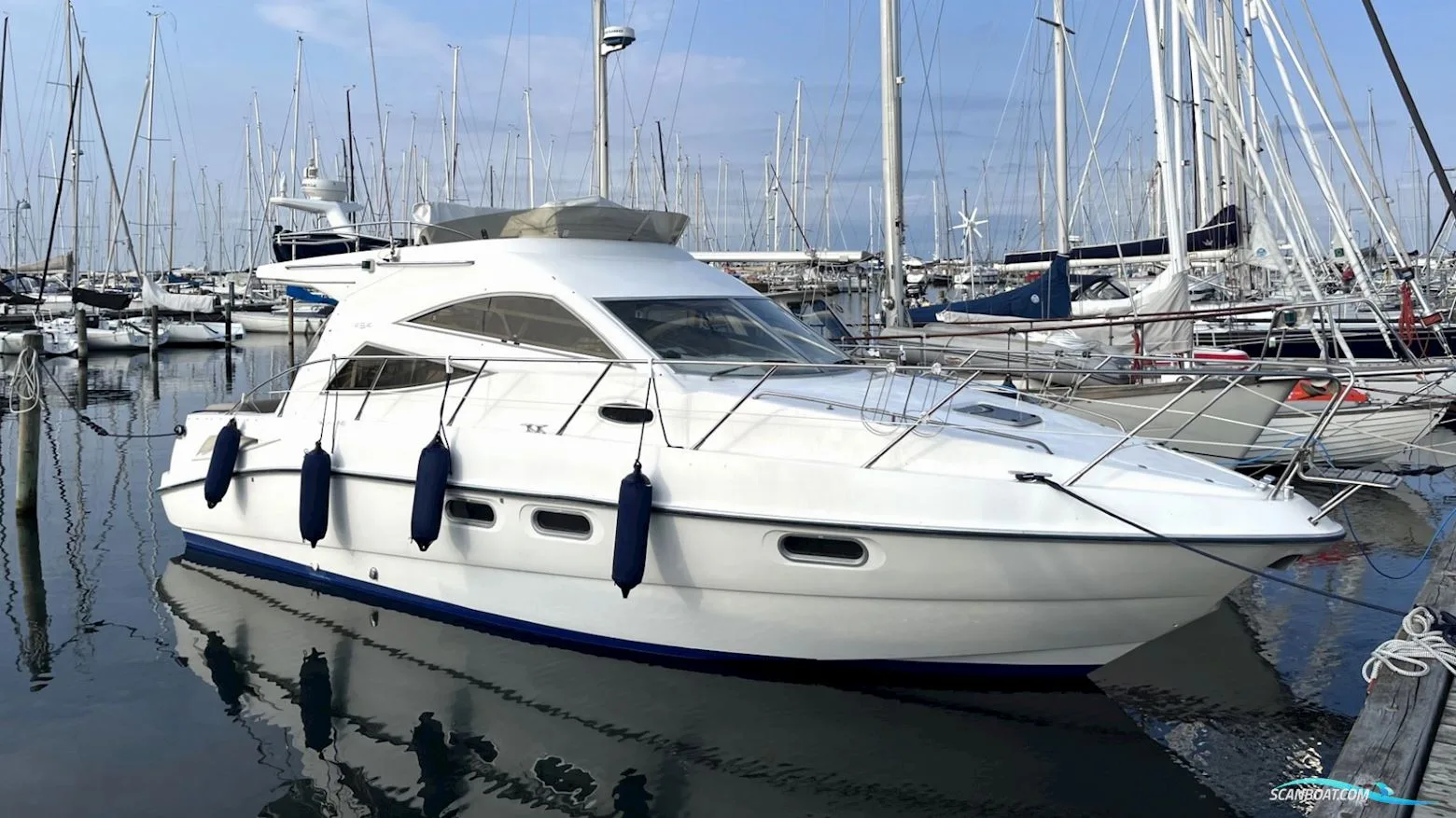 Sealine F34 usato - foto 1
