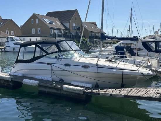 Sea Ray Sundancer 260 gebraucht - Foto 1