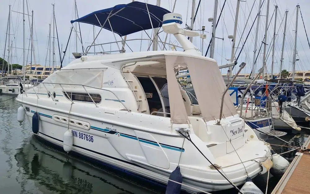 Sealine 420 usato - foto 1