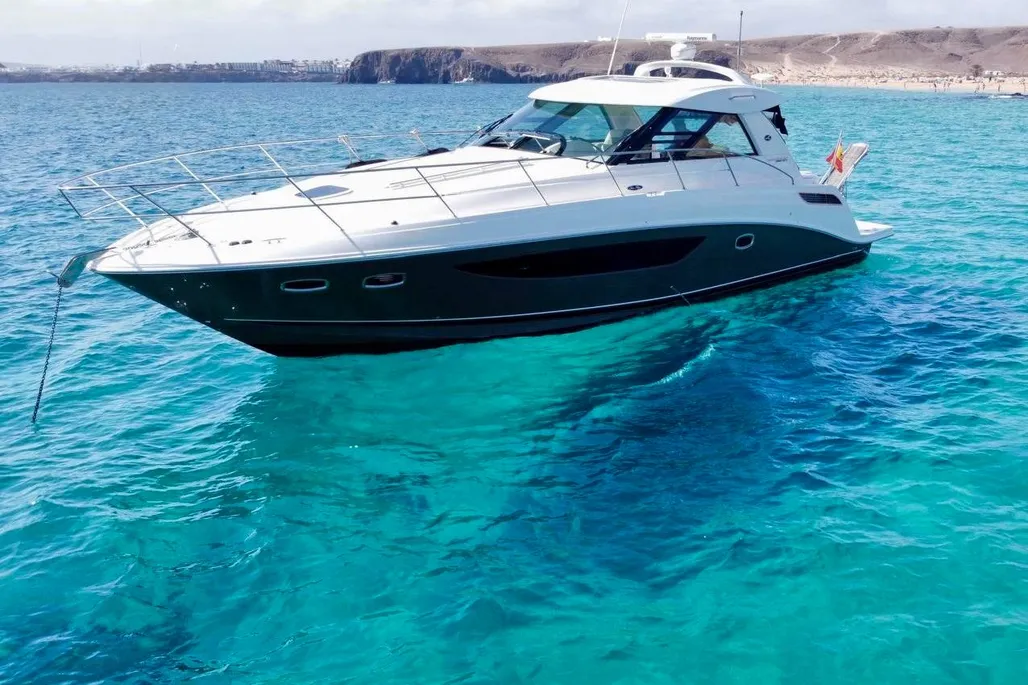Sea Ray 450 Sundancer usato - foto 1