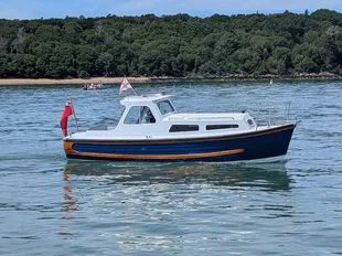 Nelson 23 gebraucht - Foto 1