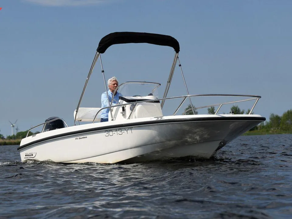 Boston Whaler 170 Dauntless used - photo 1