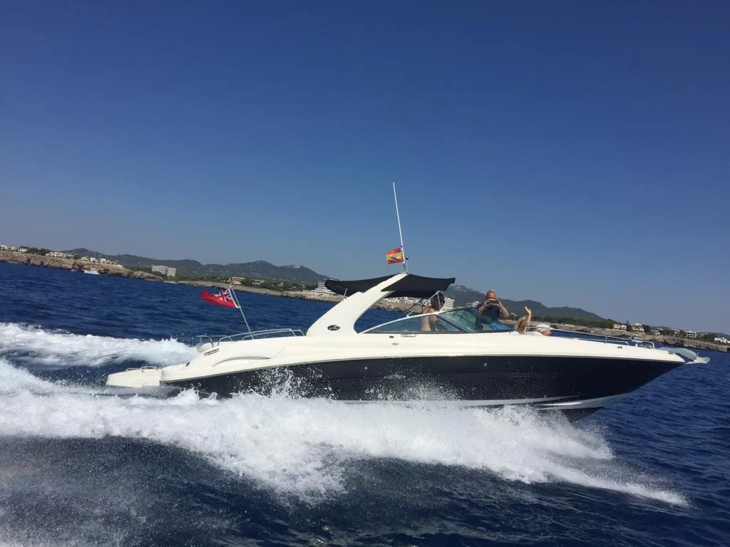Sea Ray SLX 290 gebraucht - Foto 1