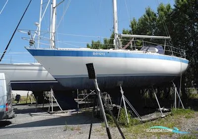 Wauquiez Gladiateur 33 gebraucht - Foto 1