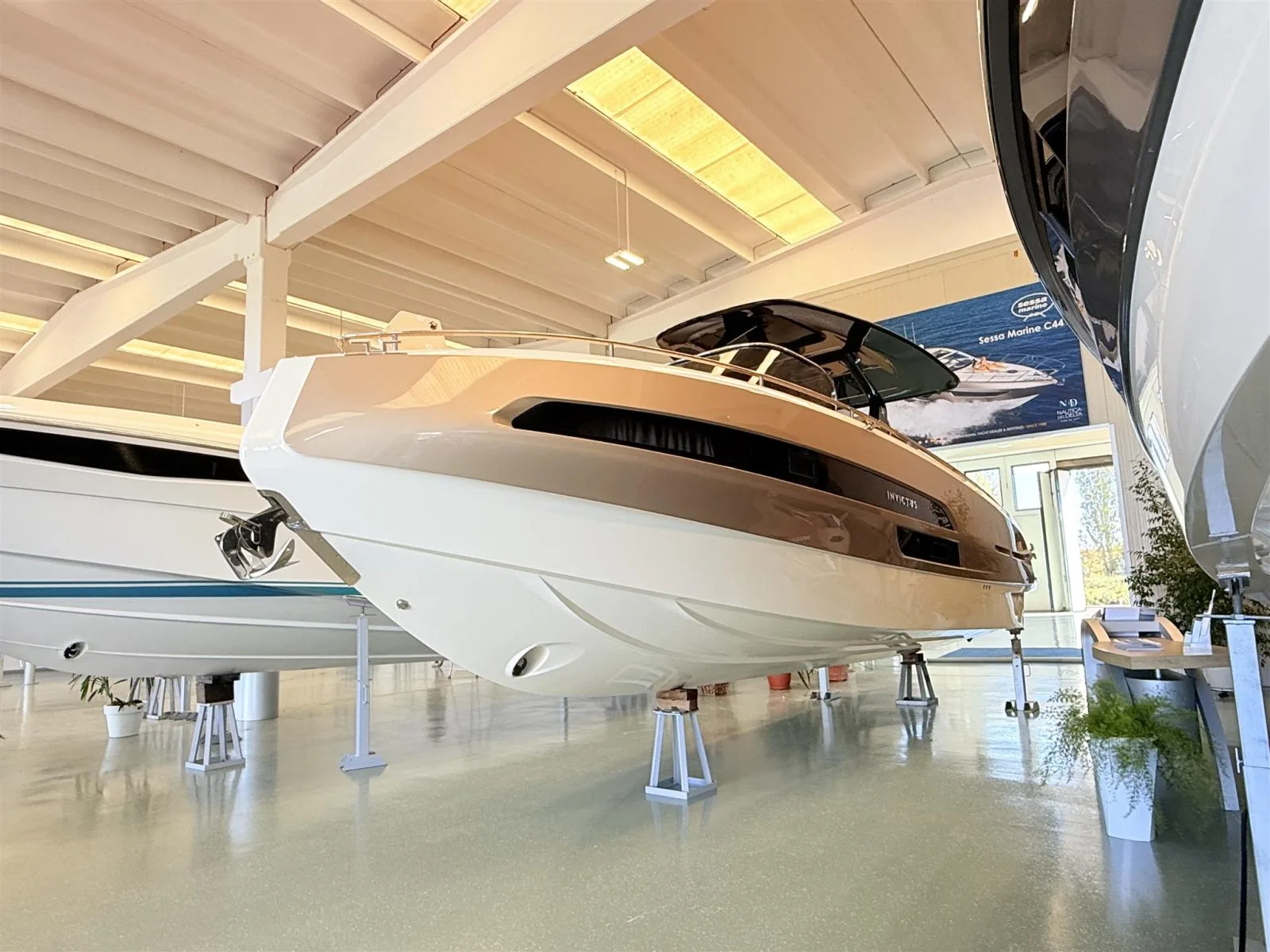 Invictus GT320 nuovo - foto 1
