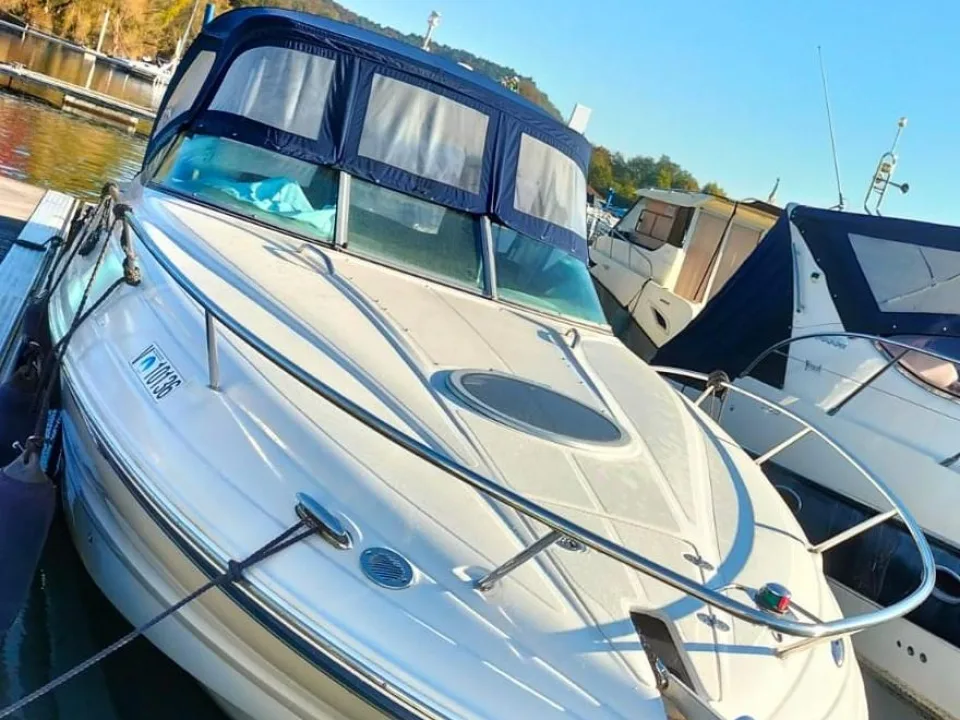 Crownline 315 SCR used - photo 1