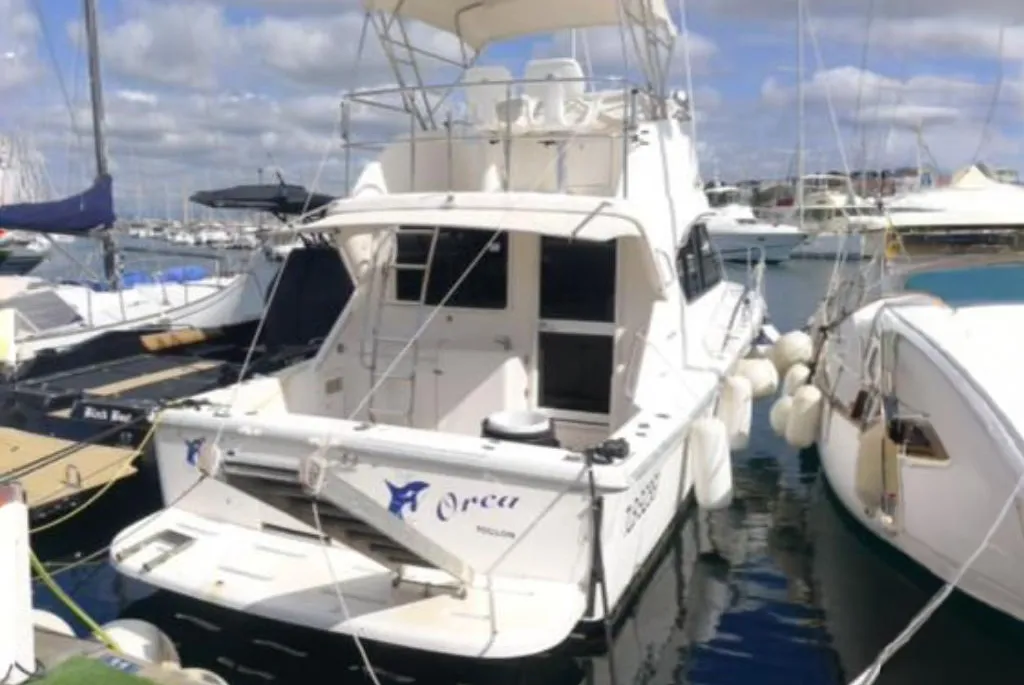Riviera 3350 Convertible used - photo 1