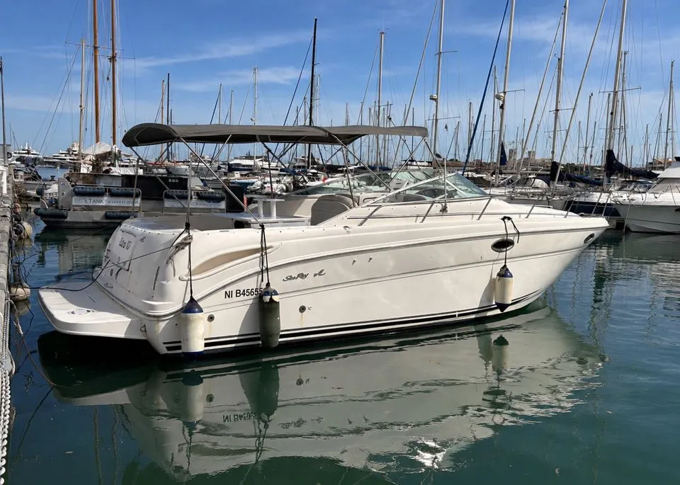 Sea Ray 290 Amberjack gebraucht - Foto 1
