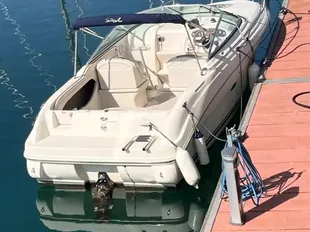 Sea Ray 215 Weekender gebraucht - Foto 1