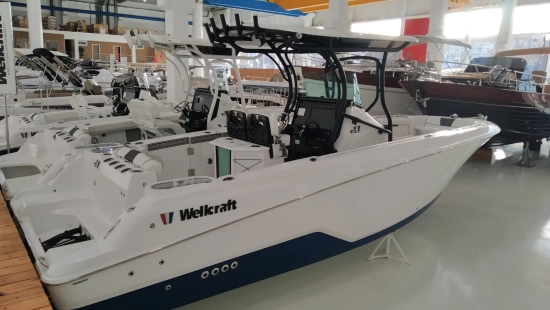 Wellcraft 262 FISHERMAN gebraucht - Foto 1