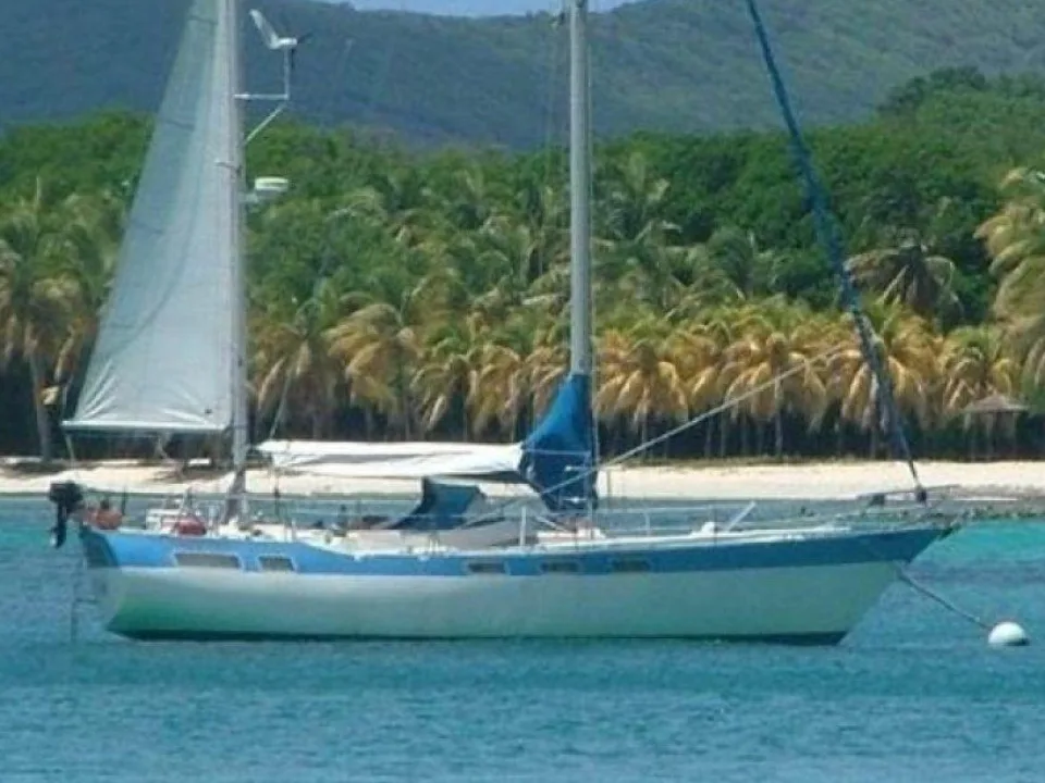 Wauquiez 43 Amphitrite usato - foto 1