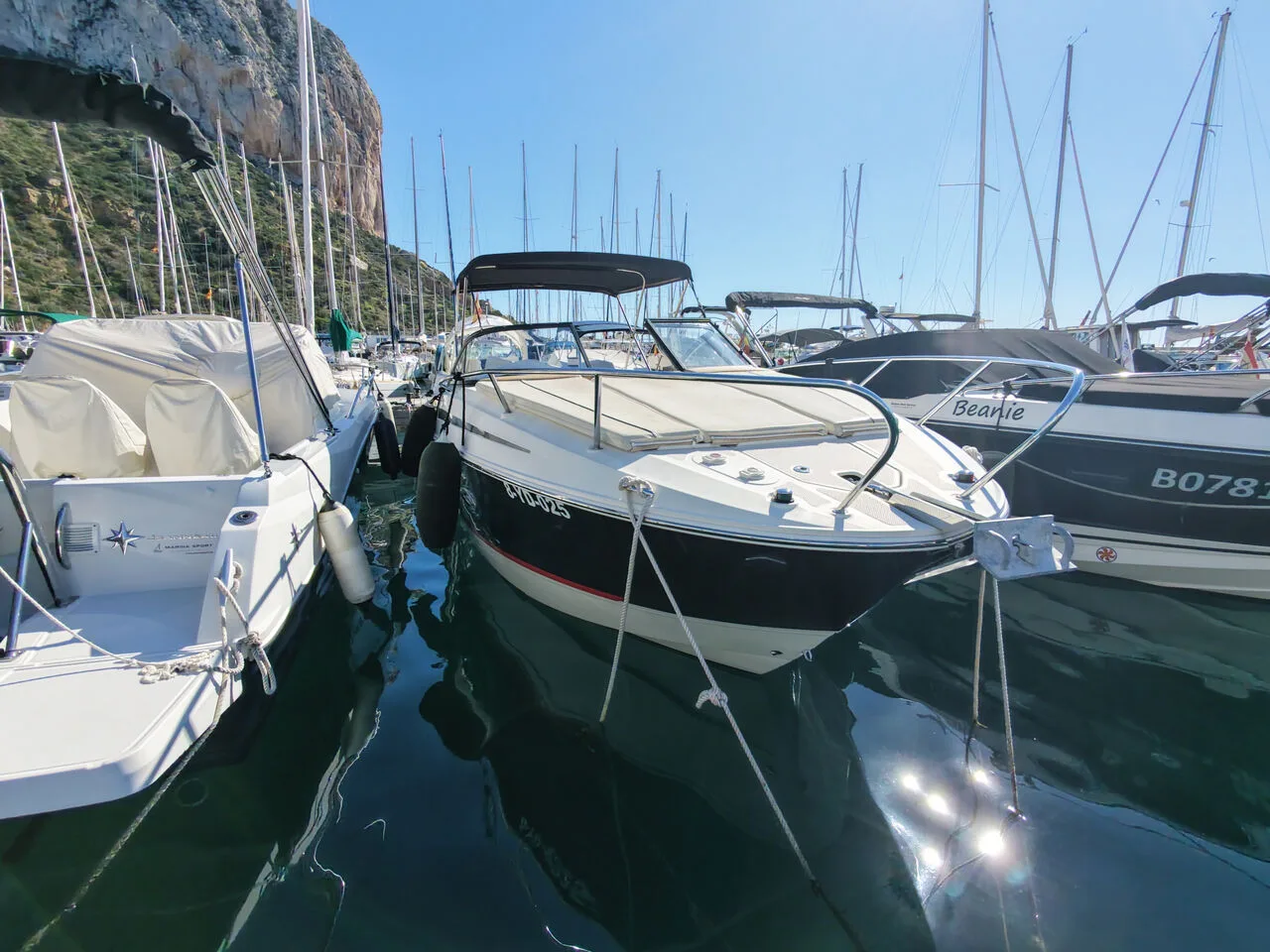 Bayliner 742R Cuddy usato - foto 1
