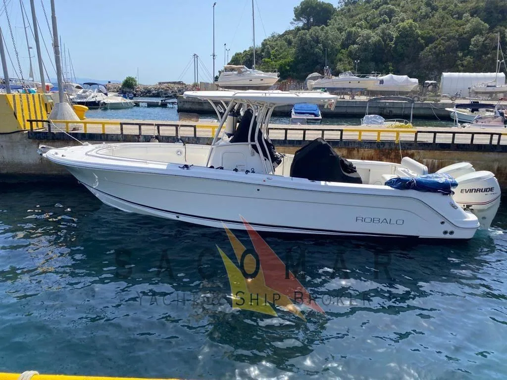 Robalo R 300 CC usato - foto 1