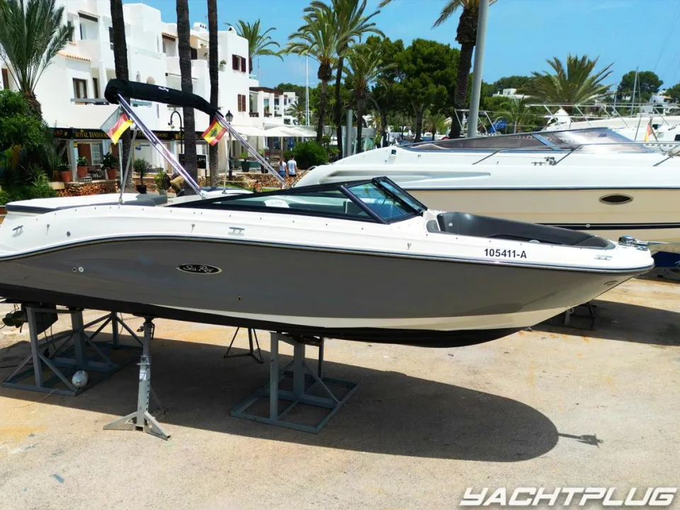 Sea Ray SPX 230 gebraucht - Foto 1