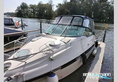 Campion Allante 825i usato - foto 1