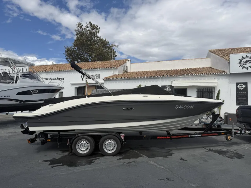 Sea Ray Spx 210 gebraucht - Foto 1