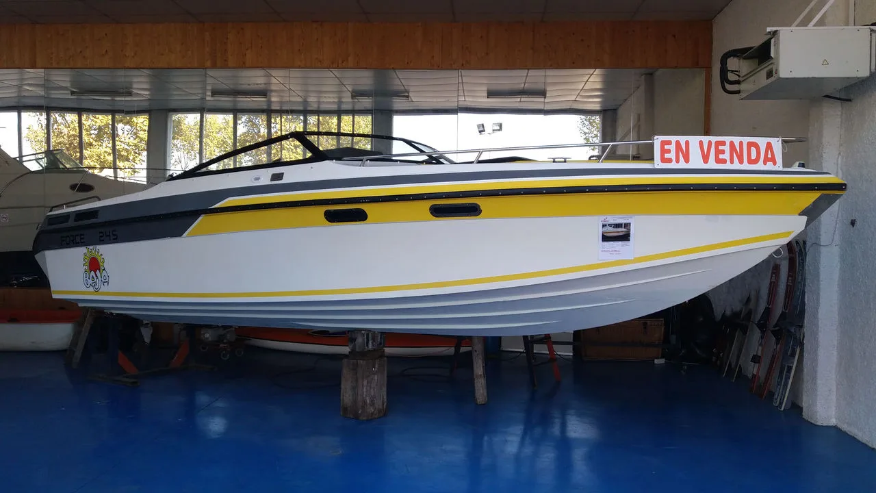 Baja Marine BAJA Force 245 d'occasion - photo 1