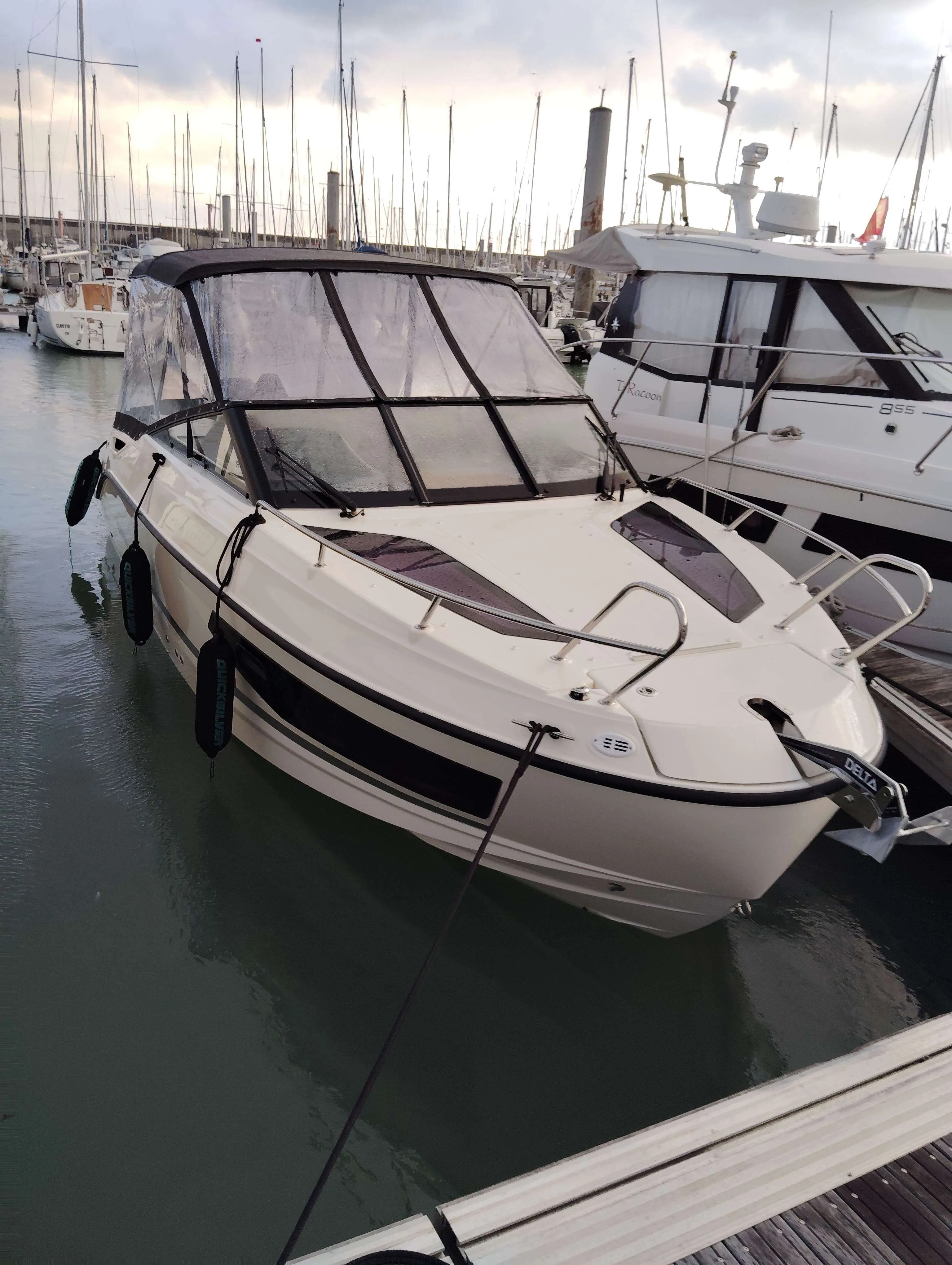 Quicksilver ACTIV 755 CRUISER gebraucht - Foto 1