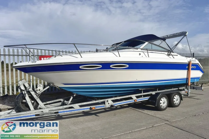 Sea Ray 230 usato - foto 1