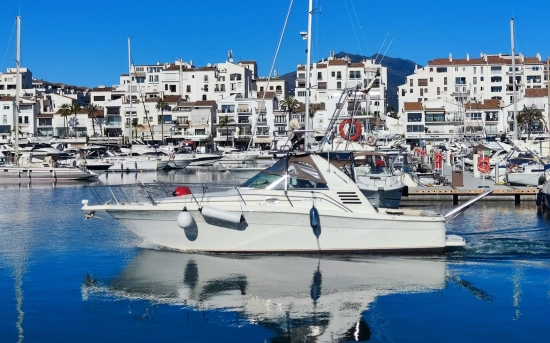 Sea Ray 340 Amberjack gebraucht - Foto 1
