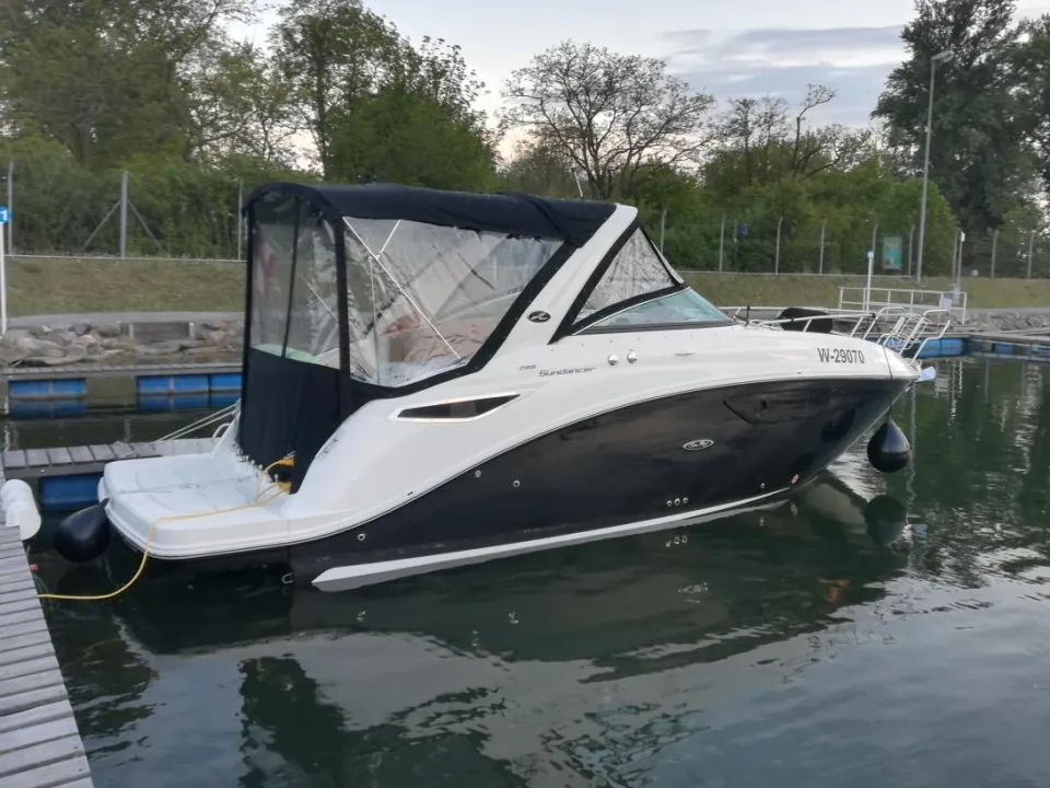 Sea Ray 265 usato - foto 1
