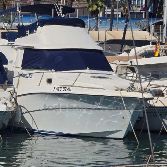Rodman 800 Fly d'occasion - photo 1