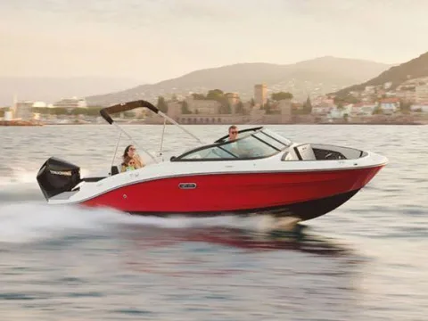 Sea Ray SPX190 usato - foto 1
