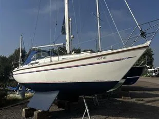 Sadler 29 usato - foto 1