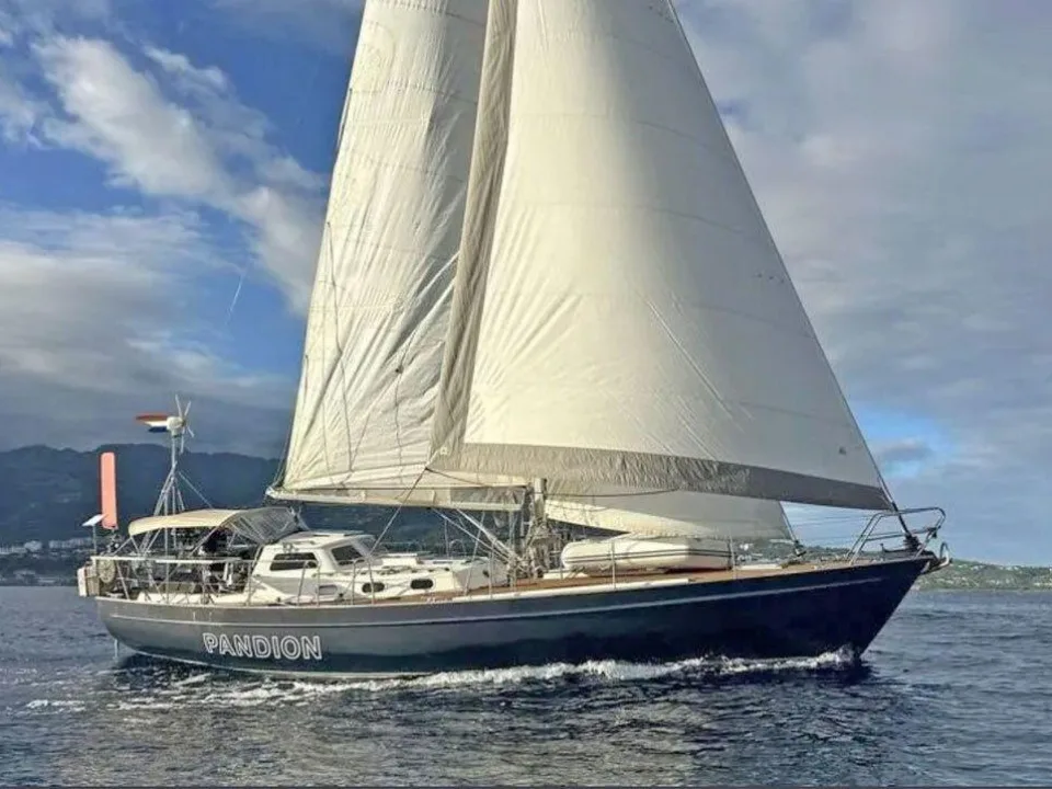 Koopmans 43 d'occasion - photo 1