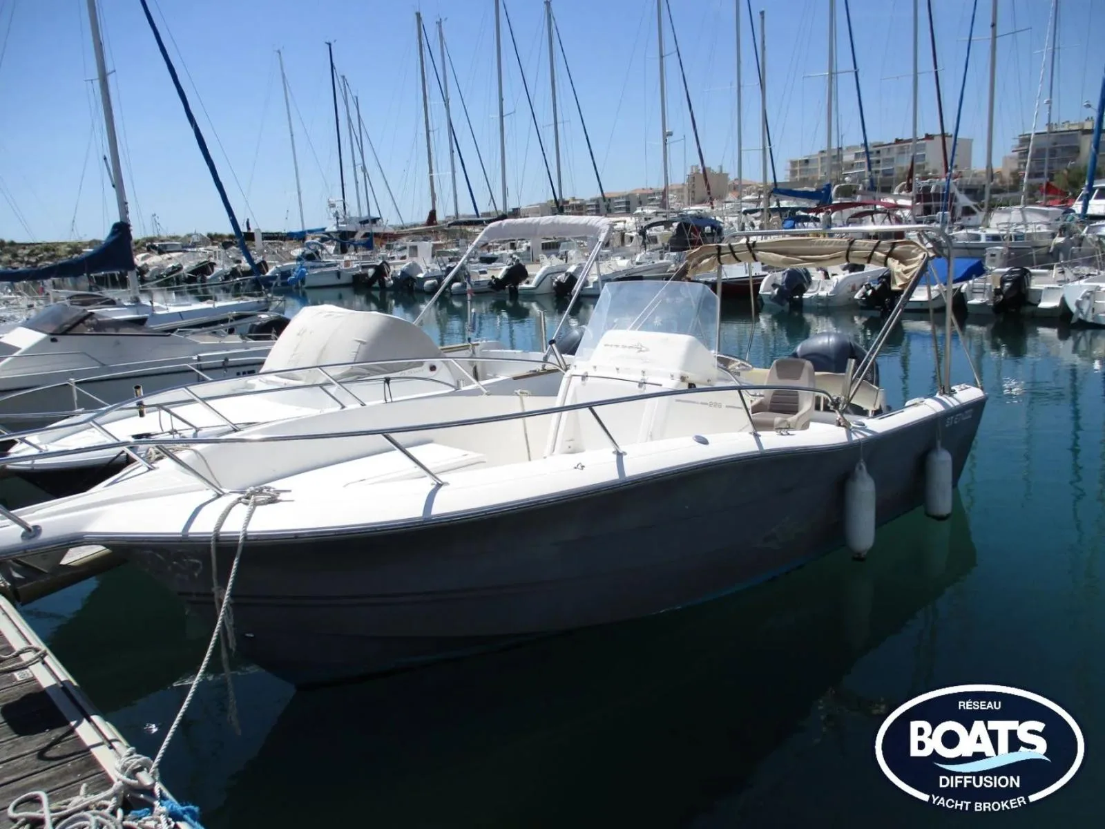 White Shark 226 d'occasion - photo 1