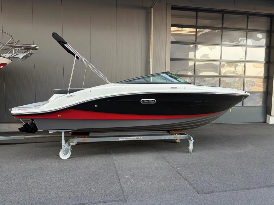 Sea Ray 190 SPX-R usato - foto 1