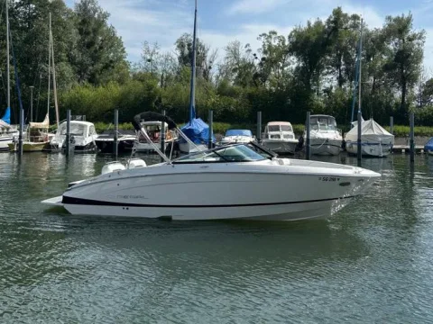 Regal LS4 gebraucht - Foto 1