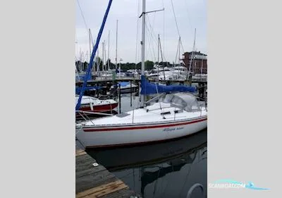 Hanse 291 gebraucht - Foto 1