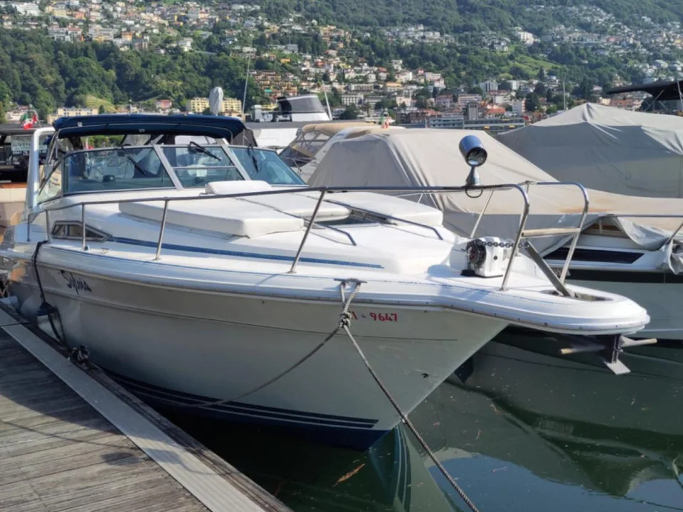 Sea Ray 310 DA gebraucht - Foto 1