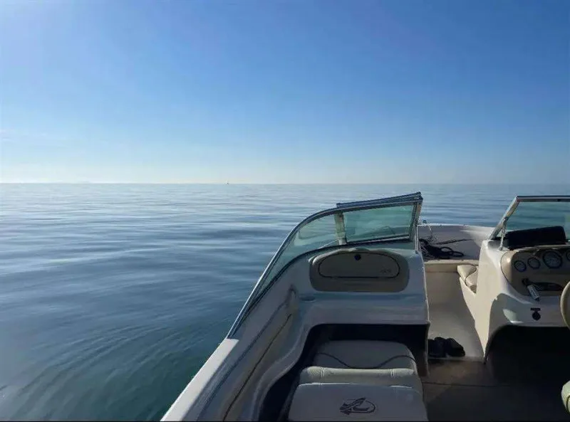 Sea Ray 180 BOW RIDER usato - foto 1