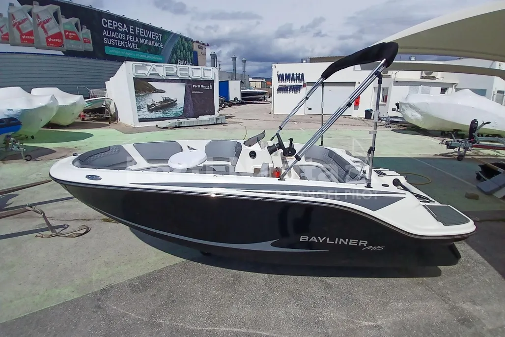Bayliner Element M15 gebraucht - Foto 1