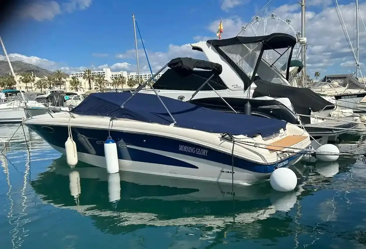 Sea Ray 230 Signature gebraucht - Foto 1