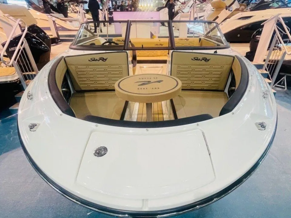 Sea Ray 190 SPX used - photo 1