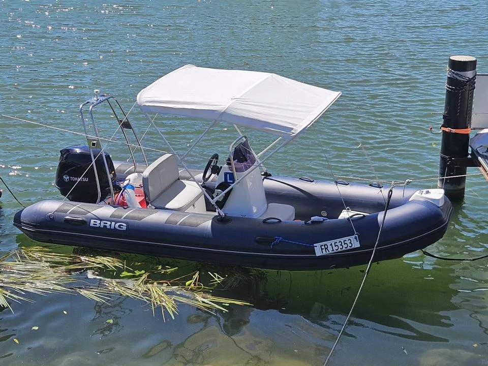 BRIG F450L gebraucht - Foto 1