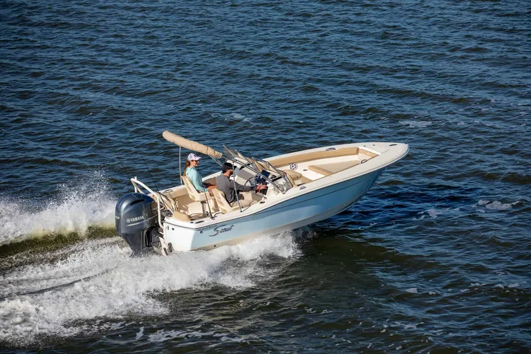 Scout 195 Sport Dorado