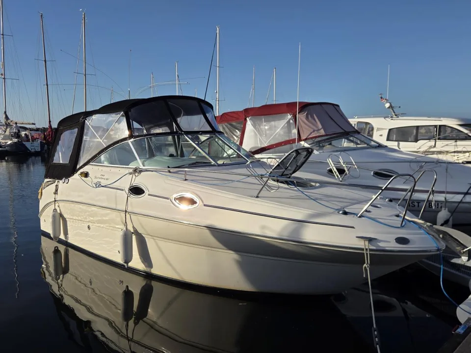 Sea Ray 255 Sundancer gebraucht - Foto 1