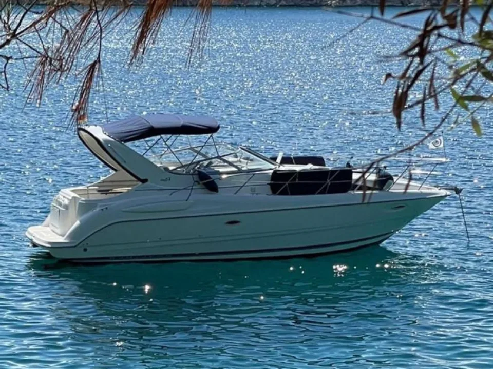 Bayliner 3055 gebraucht - Foto 1